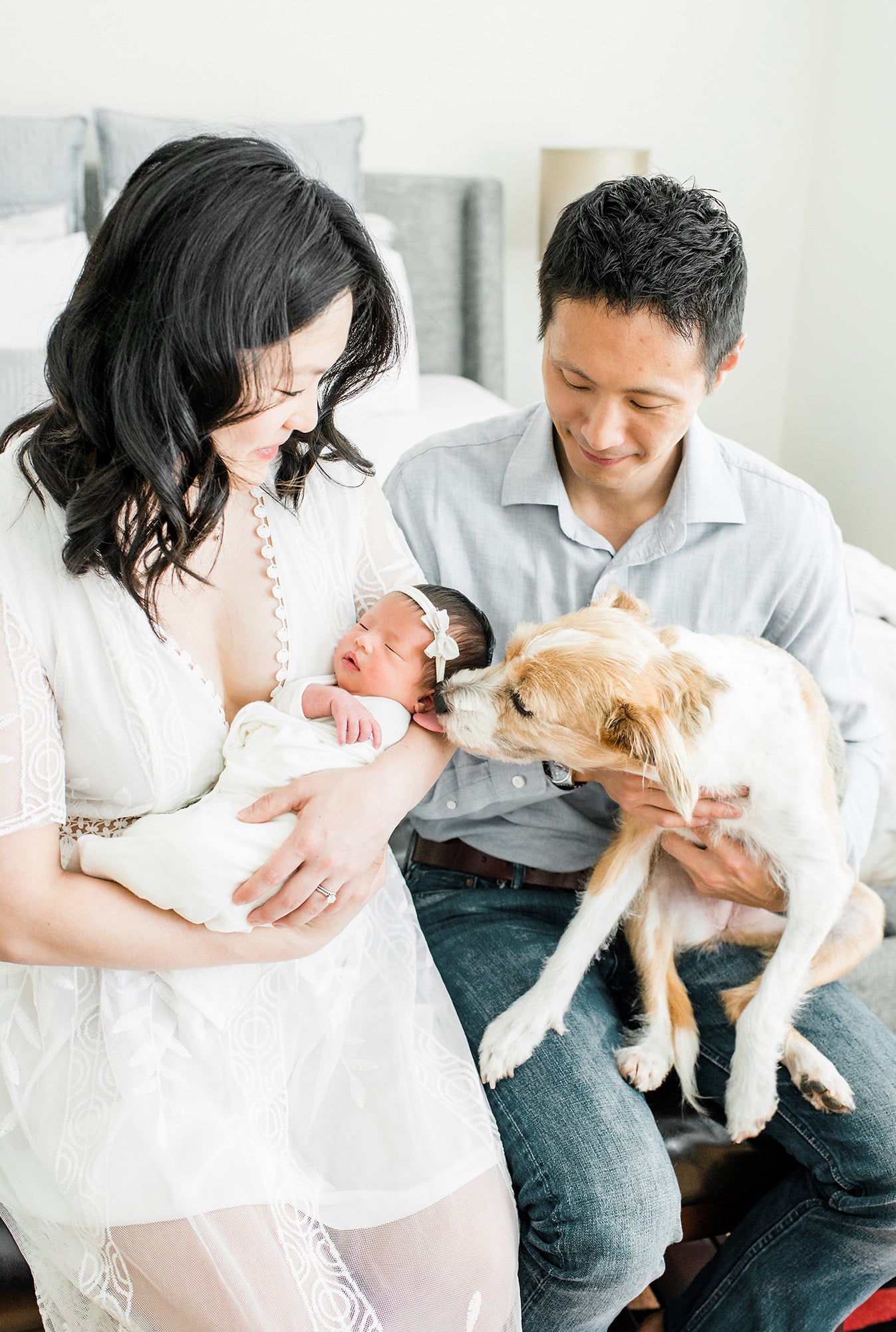 Houston newborn with family and dog