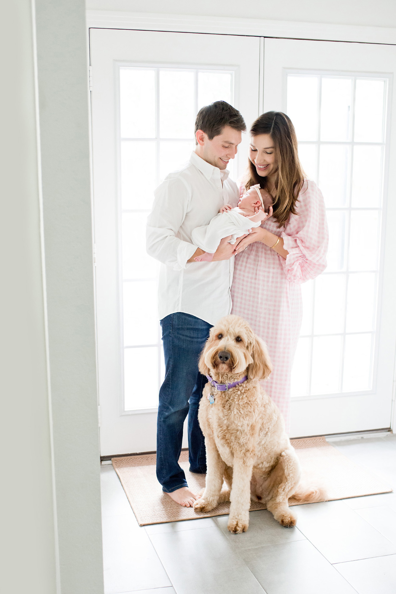 Golden doodle with newborn family picture