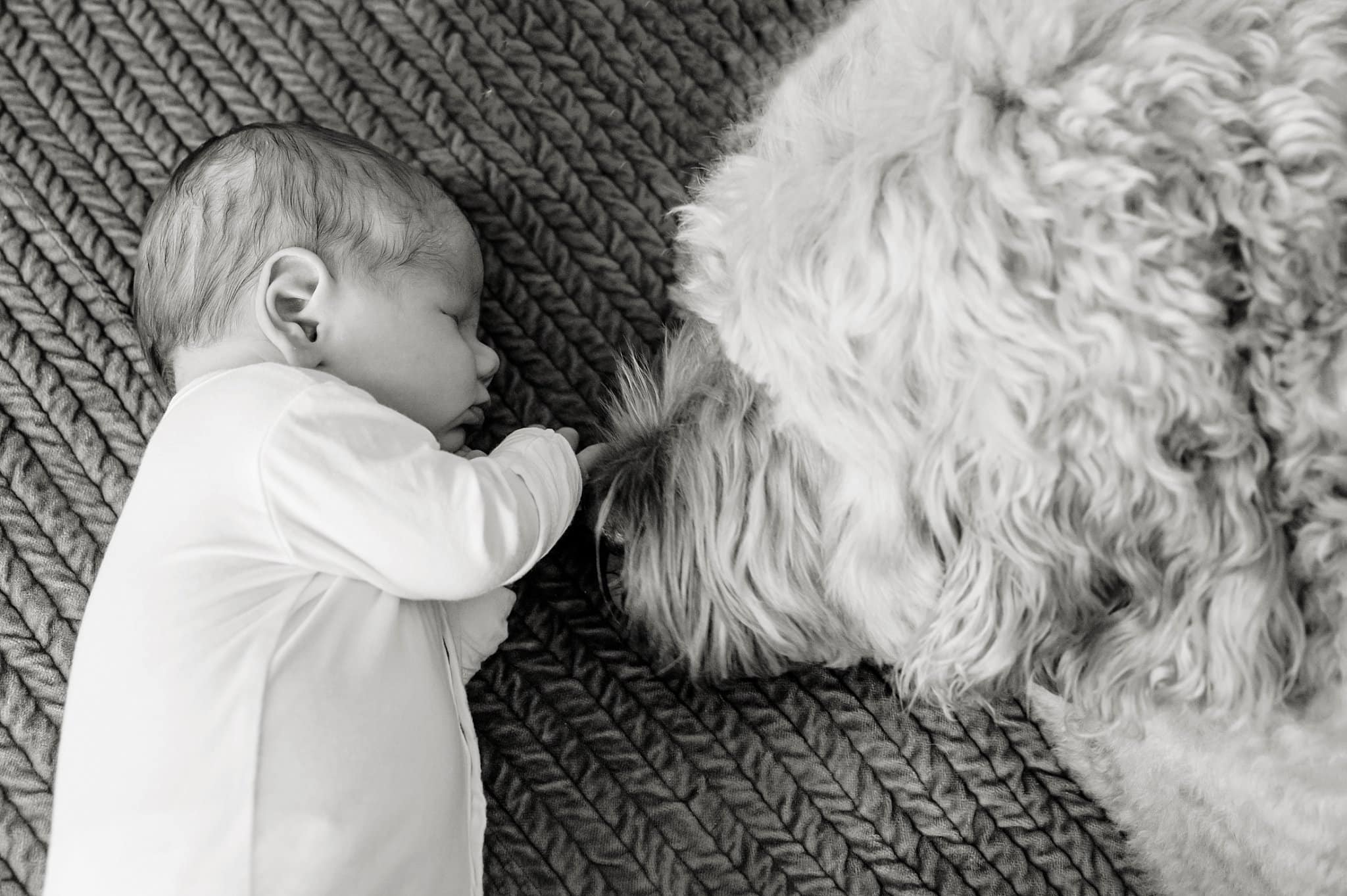 Newborn with dog